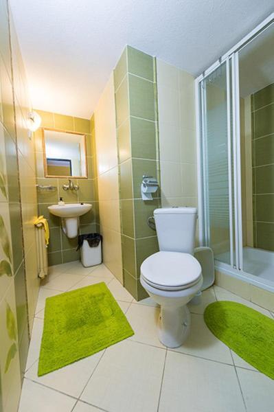 Osrodek Wczasowo-Kolonijny Gron Bed & Breakfast Bialy Dunajec Luaran gambar