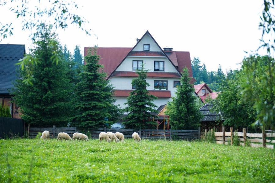 Osrodek Wczasowo-Kolonijny Gron Bed & Breakfast Bialy Dunajec Luaran gambar
